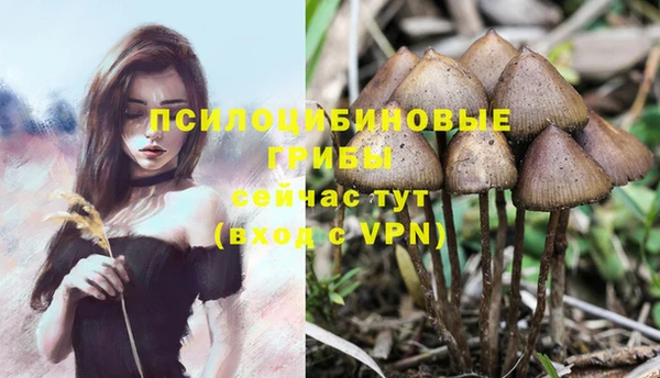 мефедрон мука Киреевск