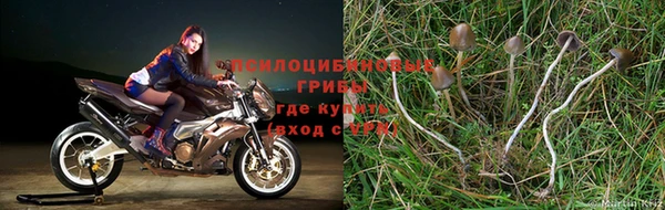 герыч Киренск