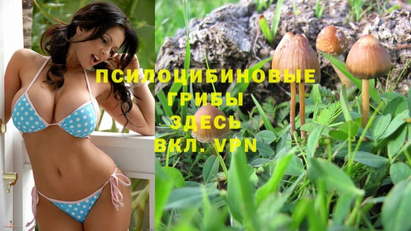 круглые Кодинск